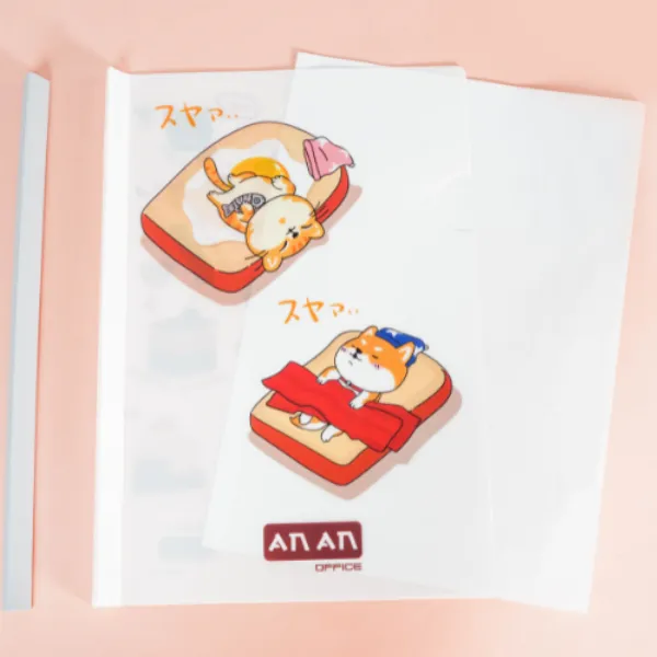 các loại folder a4