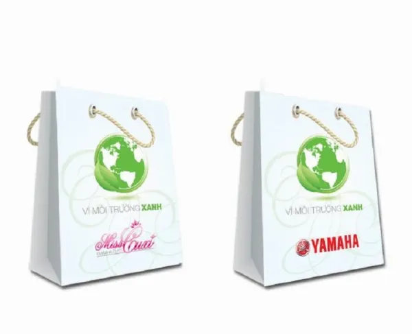 Các loại túi giấy đựng quà tại Đà Nẵng