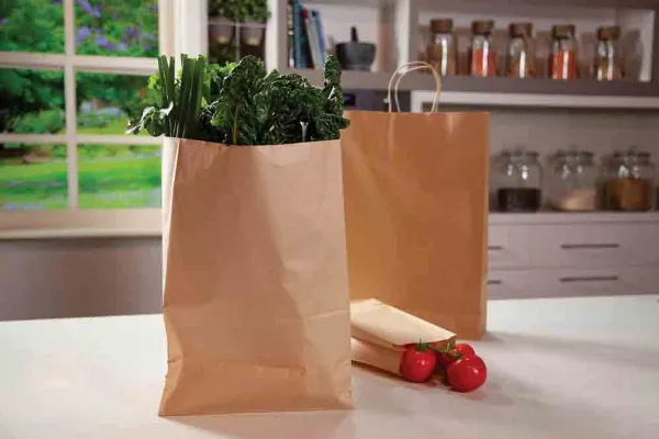 Các loại túi giấy kraft