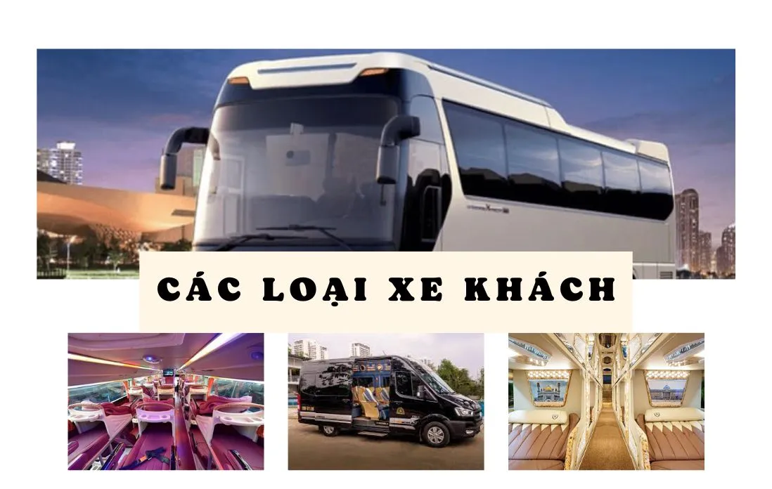 Các Loại Vé Xe Khác Nhau