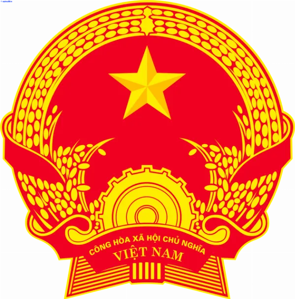 In vé cho bệnh viện: Giải pháp tối ưu cho quy trình chuyên nghiệp