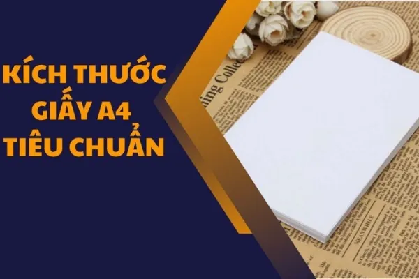 Kích Thước Giấy A4 Chuẩn Năm 2024: Những Điều Cần Biết