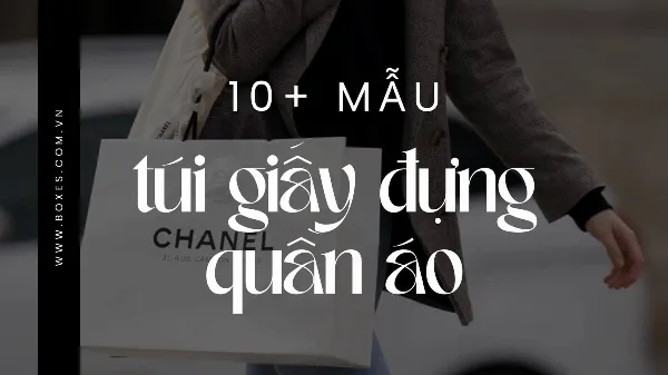 Mẫu Túi Giấy Đẹp: Sức Hút Khó Cưỡng Từ Sự Tinh Tế
